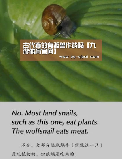 古代真的有驱兽作战吗【九游体育官网】(图1) 九游体育