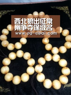 西北狼出征常州争夺保级名额_九游体育APP下载(图3) 九游体育官网