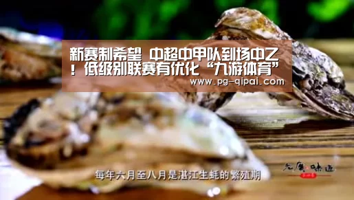 新赛制希望 中超中甲队到场中乙!低级别联赛有优化“九游体育”(图4) 九游体育APP下载