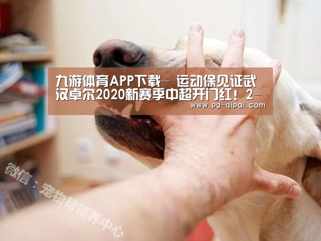 九游体育官网