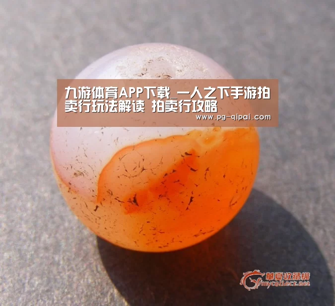 九游体育APP下载_一人之下手游拍卖行玩法解读 拍卖行攻略(图3) 九游体育官网