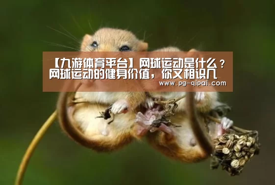 【九游体育平台】网球运动是什么?网球运动的健身价值,你又相识几多呢?(图2) 九游体育