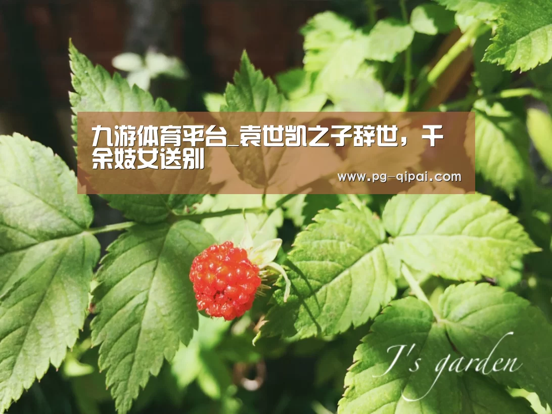 九游体育平台_袁世凯之子辞世,千余妓女送别(图1) 九游体育APP下载