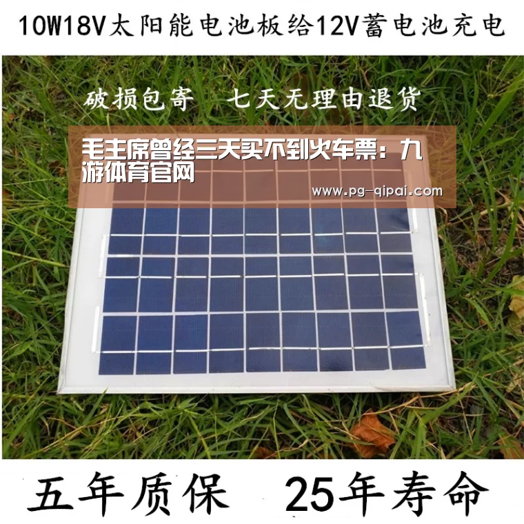 九游体育APP下载