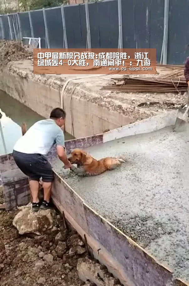 九游体育APP下载